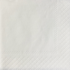 Obrúsok biela 24x24cm 2vr 1/4 skladanie 100% celulóza 250ks