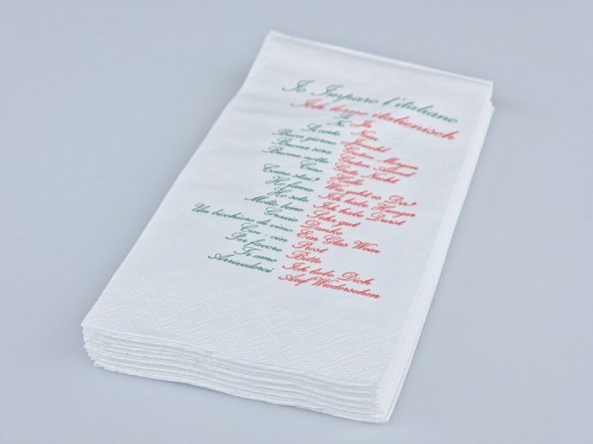 Servietten Ich lerne Italienisch 40x40cm 2-lagig 1/8-Falz 100% Zellstoff 100 Stk.
