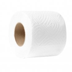 Toaletní papír 2 vrstvý 240 útržků 30m 100% celulóza bílý Ø 110mm 48 rolí/balení